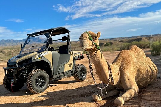 Tour image 1